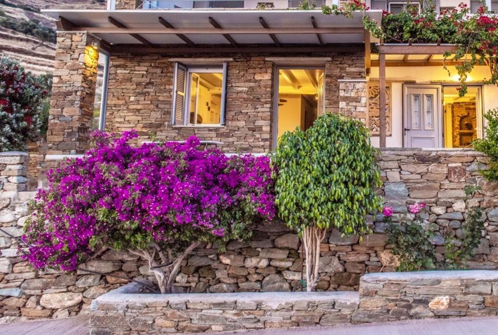Villa Oikia Petra à Agios Ioannis  Extérieur photo